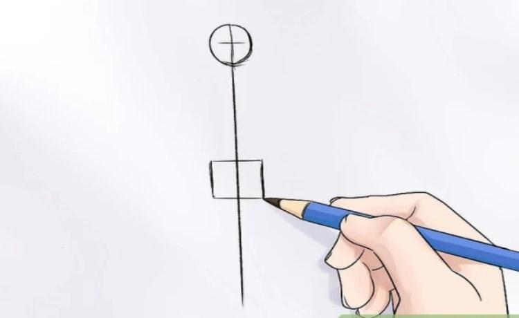 رسم ناحیه لگن