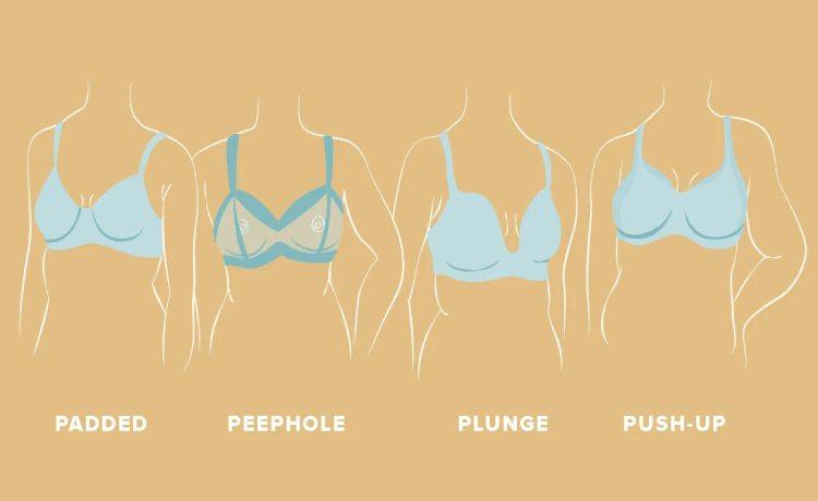 آشنایی با انواع سوتین