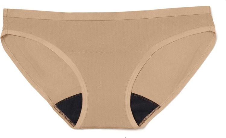 شورتکس معمولی چیست