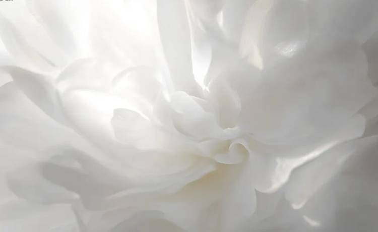 رنگ ترند سال 2026