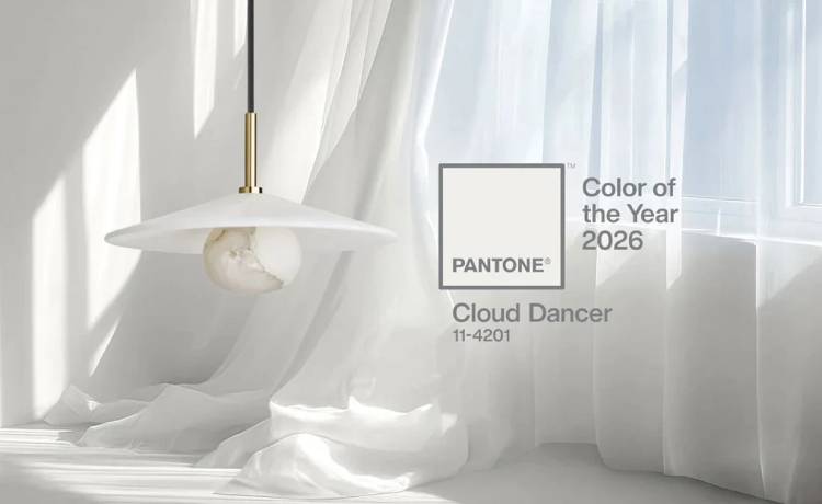 کاربرد رنگ سال 2026 در دکوراسیون داخلی