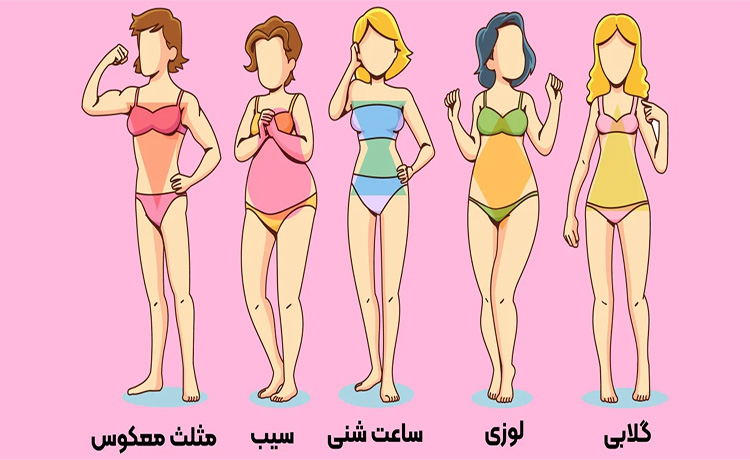شناخت زن از روی فرم بدن
