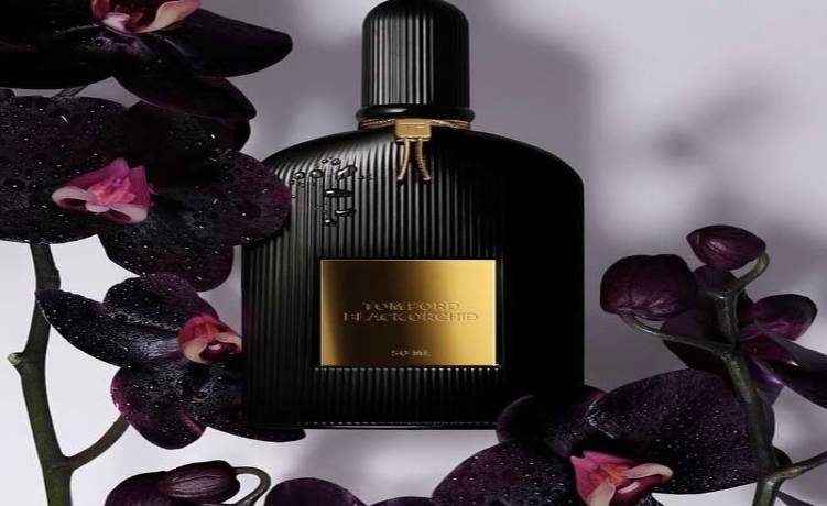 بهترین عطر زنانه با پخش بوی عالی تام فورد بلک ارکید