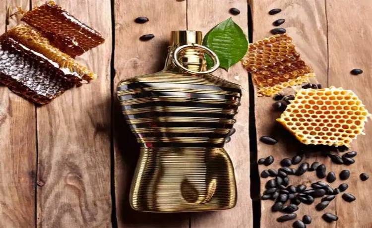 بهترین عطر مردانه با پخش بوی عالی ژان پل گوتیه له مال الکسیر